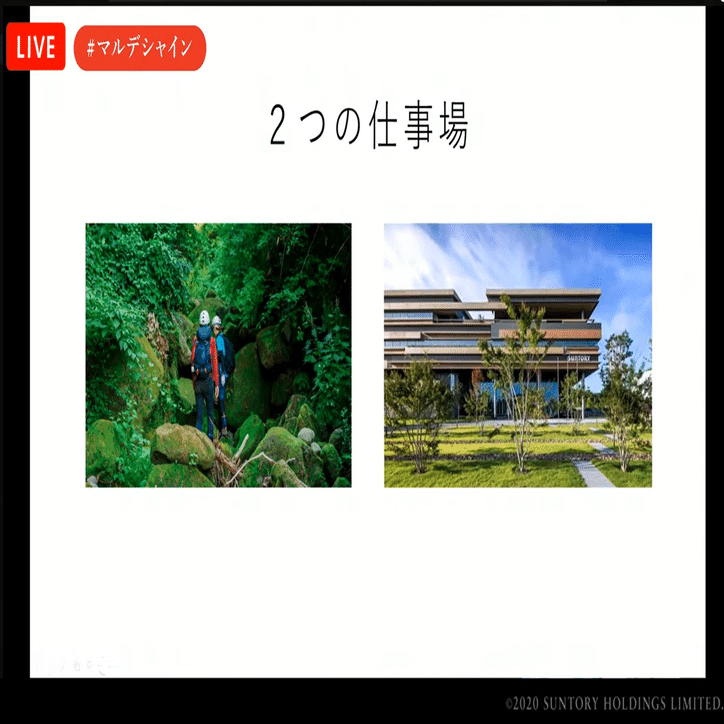 まるで大人の自由研究 森と水のプロ が語る100年後の未来を見据えた水を育む活動とは サントリー マル デ シャイン