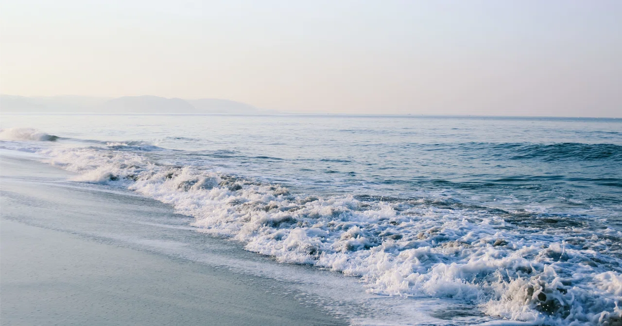 [Life Fluid Dynamics Series] Backflow Theory Part 39: Habits to Align ...