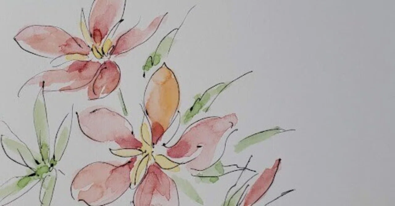 [October 21] Flower 🌸 Hibiscus coccineus (Scarlet Rose Mallow) 🌸 5 ...