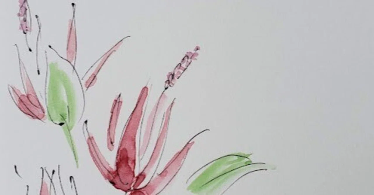 [October 24] Flower🌸Pavonia (Brazilian Mallow)🌸5-minute illustration ...