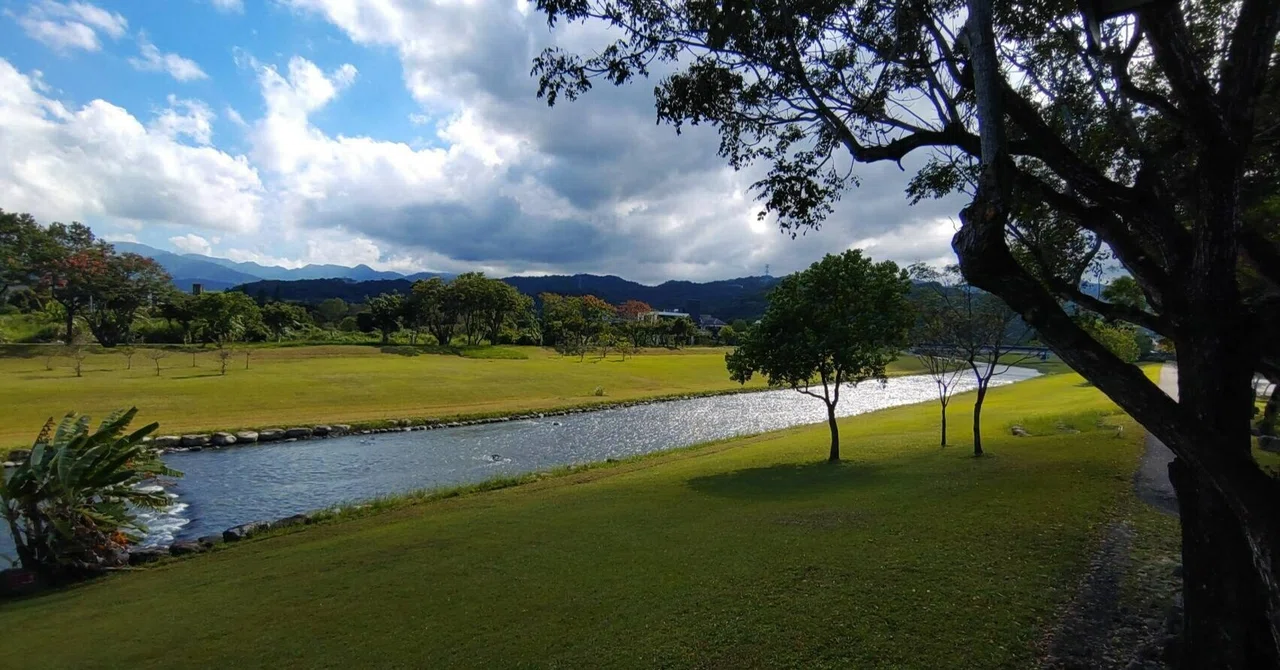 #33【Taiwan scape 】To a Riverside Cafe / Under the Great Camphor Tree ...
