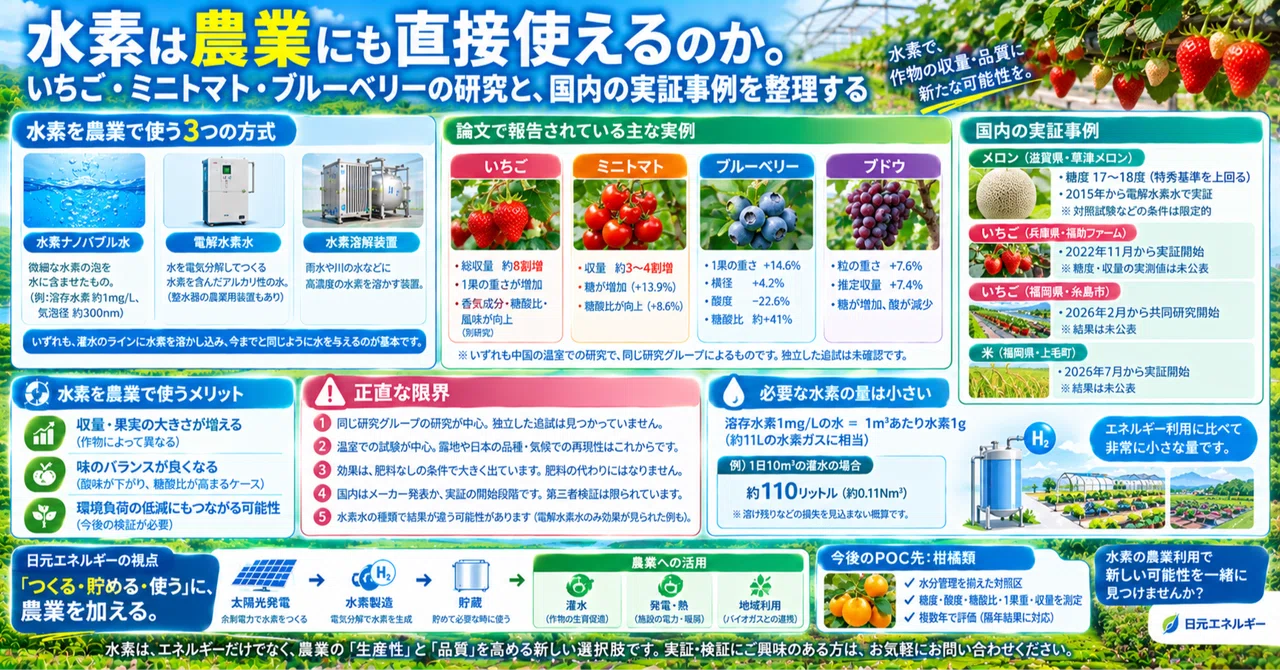 Can hydrogen be used directly in agriculture? Organizing research on ...