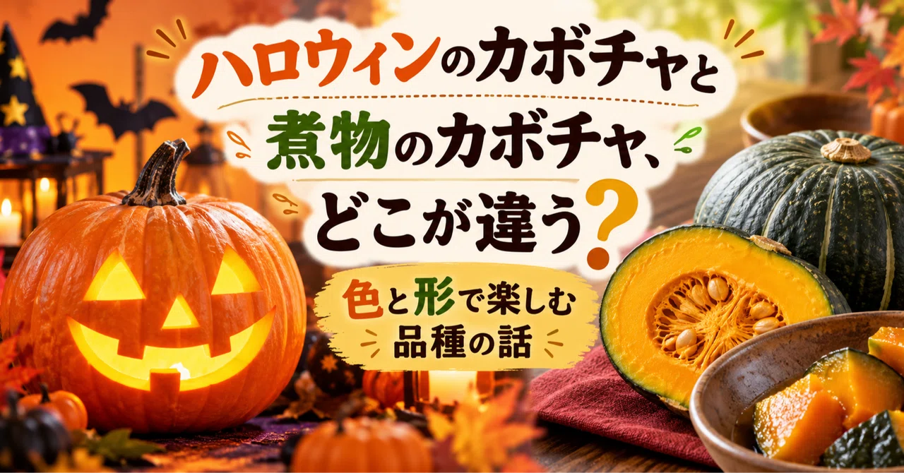 What is the difference between Halloween pumpkins and cooking pumpkins ...