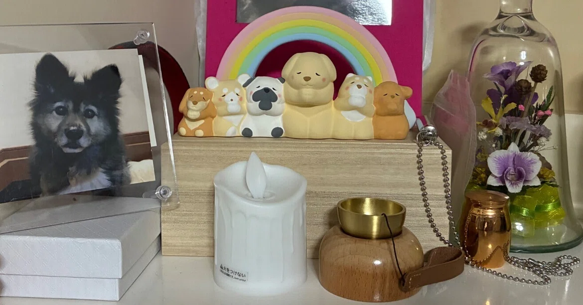 Memories with Beni: From Our First Meeting to Becoming My Daughter's ...