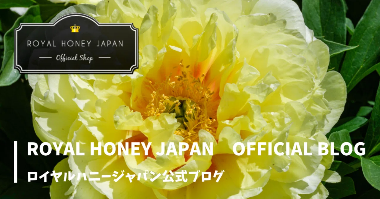 7 Things You Should Know Before Buying Royal Honey for the First Time ...