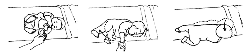 体軸内回旋動作を考える ママセラピストが考える発達過程と臨床の繋がりpart４ 脳外ブログ 臨床baton Note