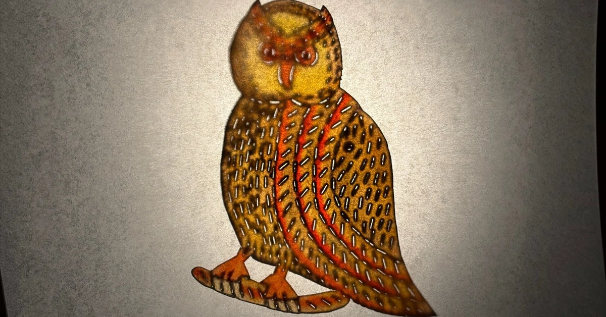 The Owl of Istanbul｜maysea