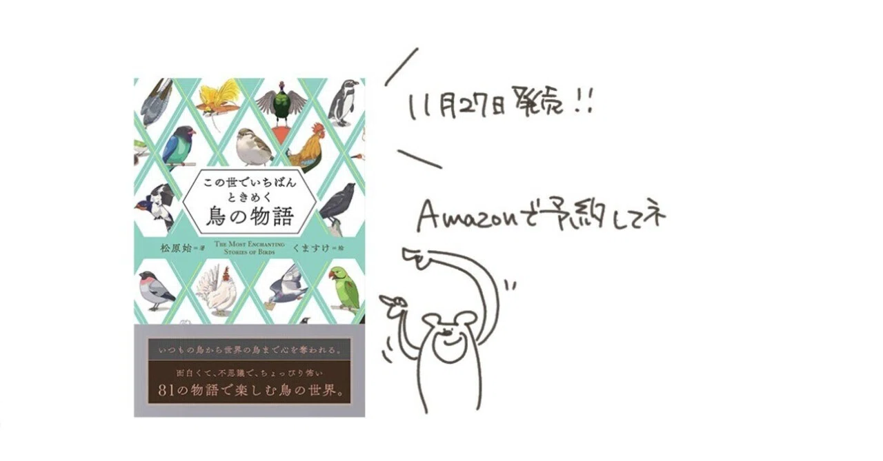 Behind-the-scenes stories of illustrating the 'Bird Book' released in ...