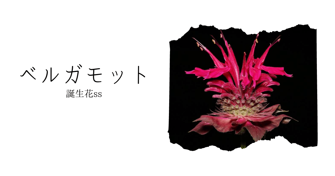 ベルガモット 誕生花ss てい Note