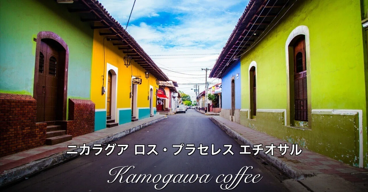 Current Beans: Nicaragua 🇳🇮 Los Placeres Farm Ethiosar｜KAMOGAWA COFFEE