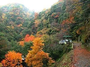 画像8