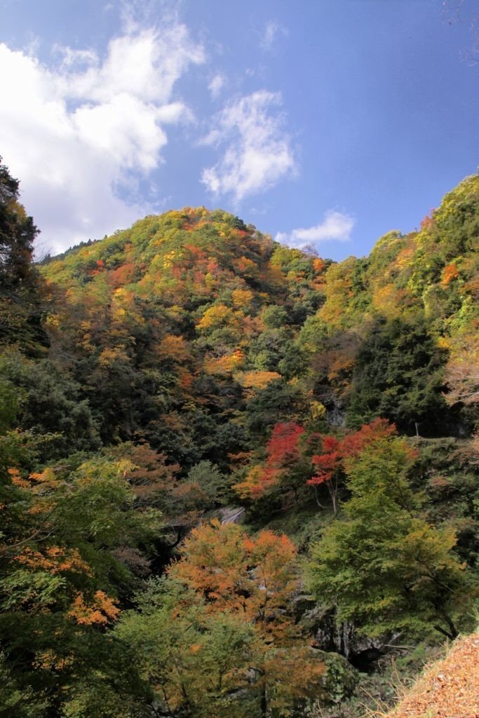 豊岡市 紅葉 Siouxcitizen Note 豊岡市 紅葉 Siouxcitizen Note