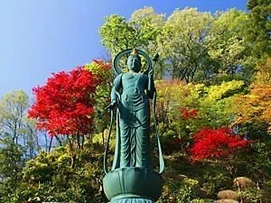 画像15