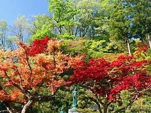 画像16
