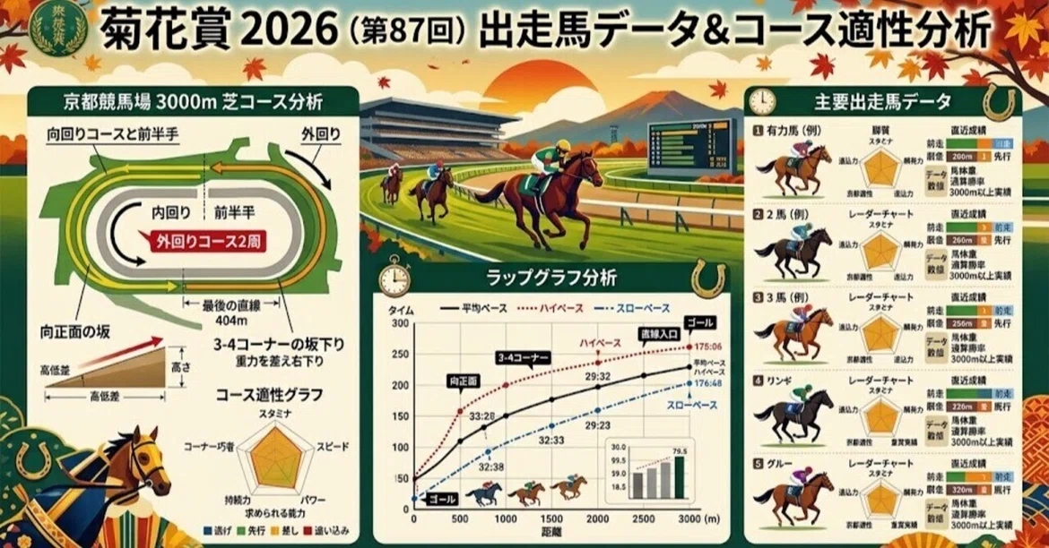 [Kikuka Sho 2026] The 'Winning Horse Law' and the Deciding Factor for ...