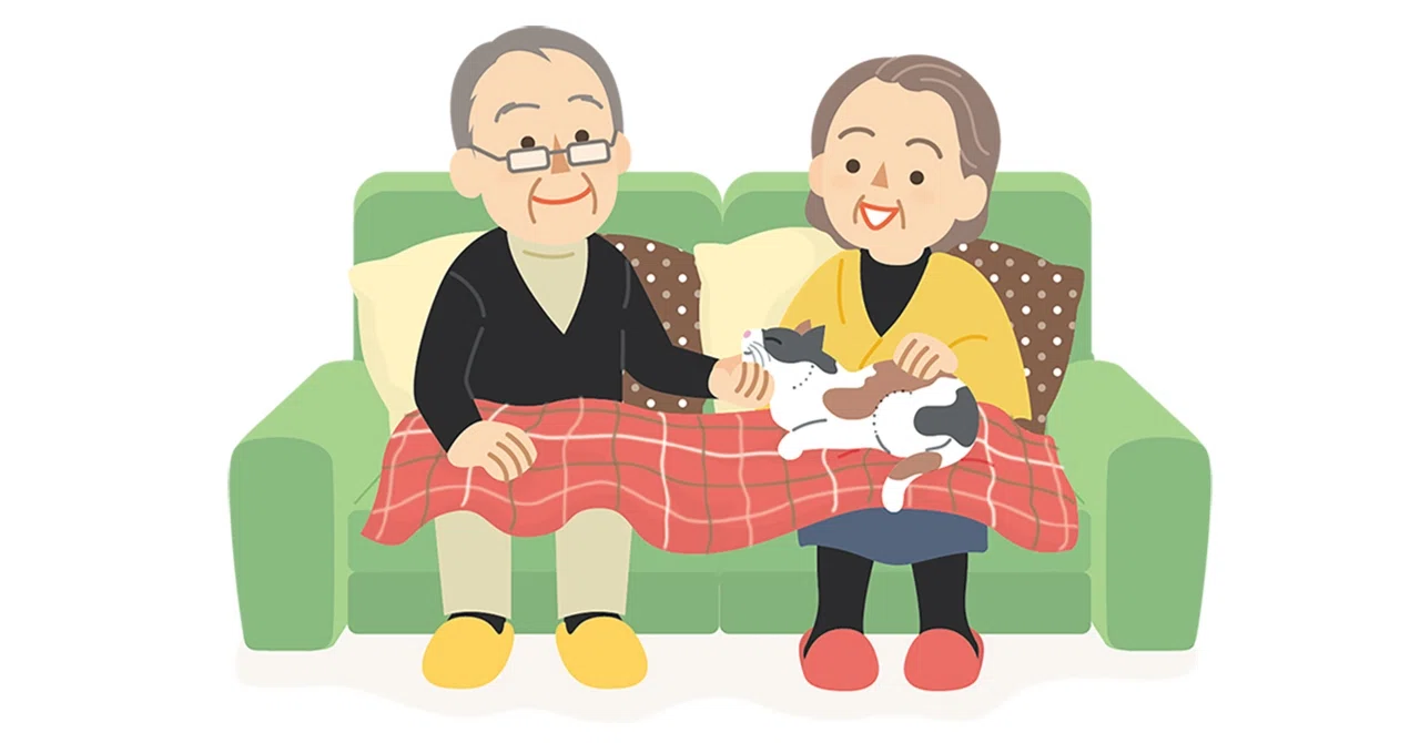 The threshold for the pension for active employees has increased by ...