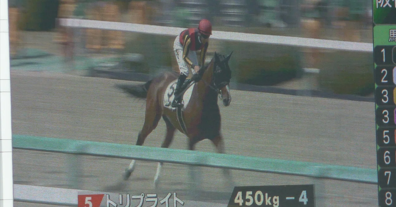 ＃競馬予想 10月24日（土）アルテミスS 予想 出馬表から的中馬券を科学する｜＃競馬予想 トリプライト 出馬表から的中馬券を科学する