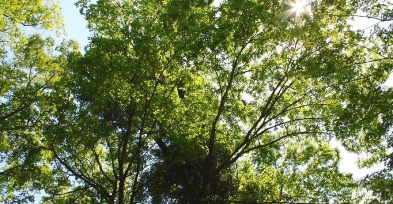 かつてのヨーロッパで栄えたケルト民族 ひかる Note