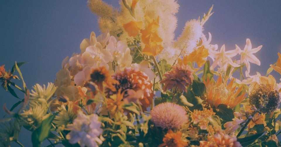 それが何に見えても 等しく 美しい 写真集について 1 Ampersands Note