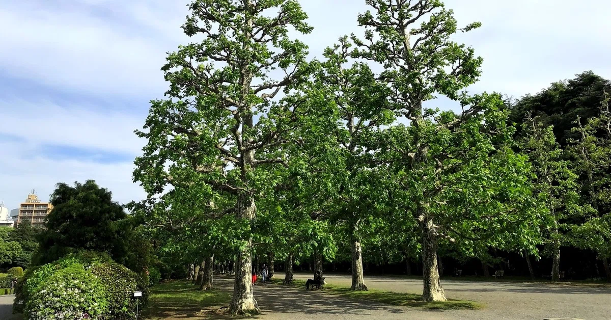 画像8