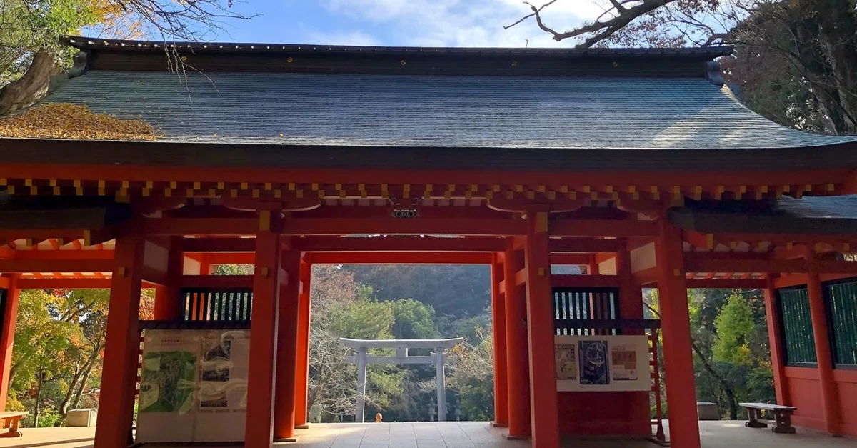 画像20