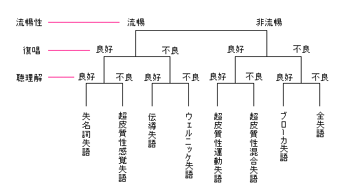 失語症分類