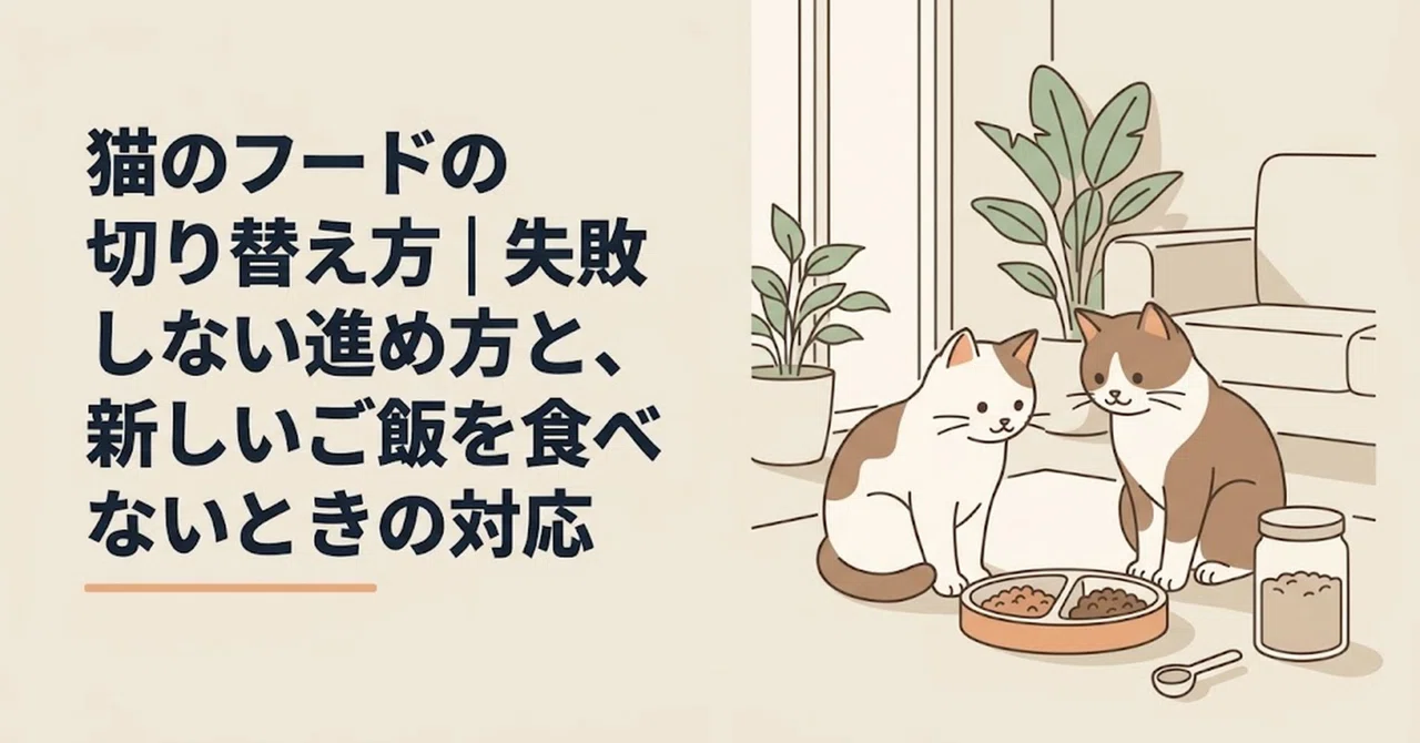 How to Switch Cat Food: A Fail-Safe Approach and What to Do When They ...