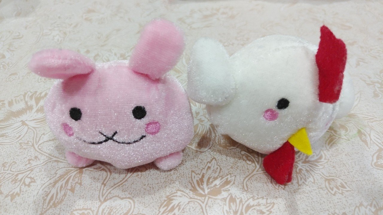 飼育委員は大人気 真咲ともか Note
