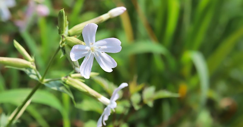 8月18日