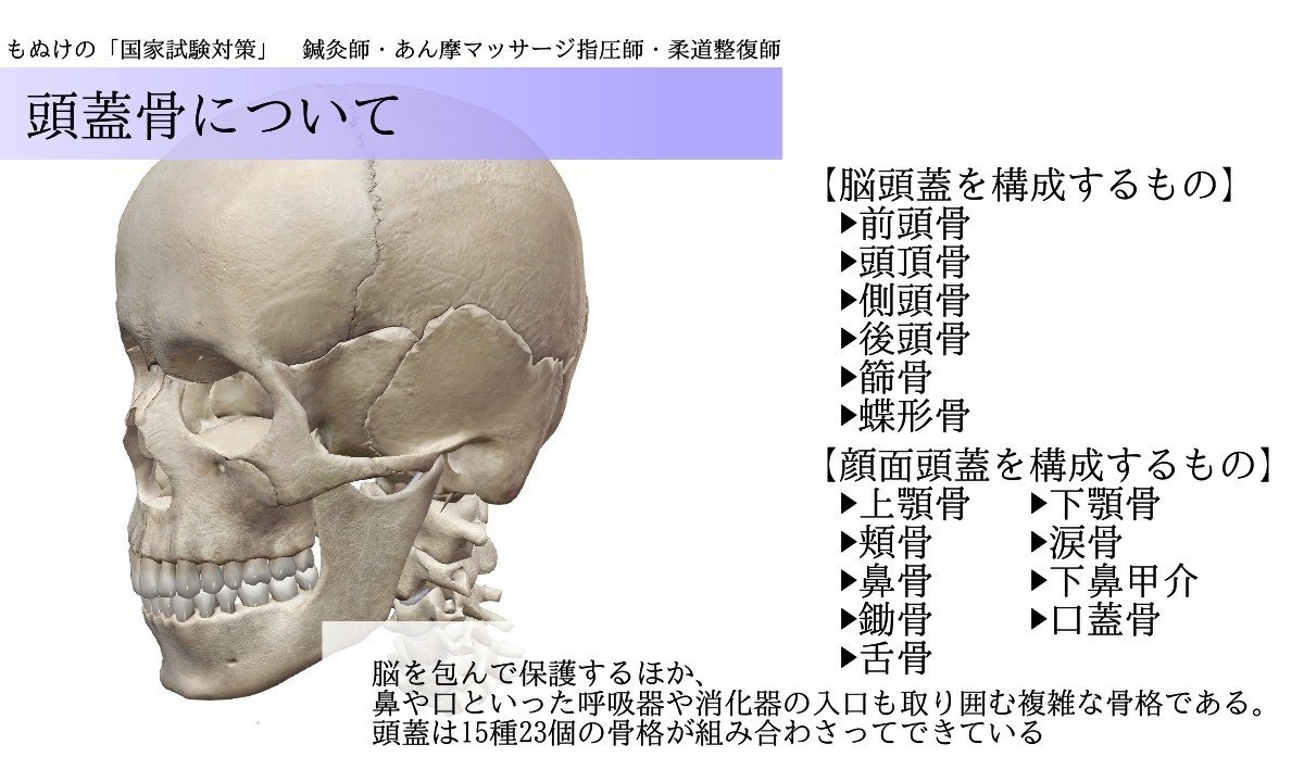 解剖学 図解 イラスト とゴロで簡単 対をなす頭蓋骨 まとめ の覚え方 森元塾 国家試験対策 Note