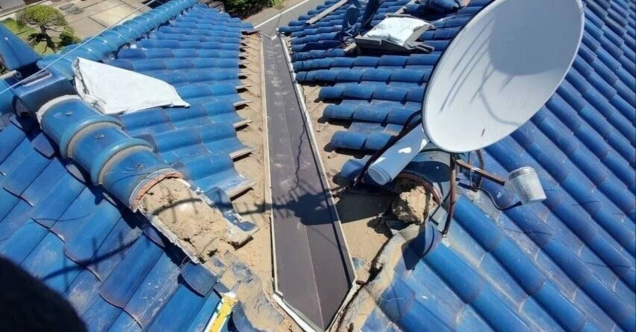 Names of Roof Shapes | Gable, Hipped, Mono-pitched, and Where Rain ...