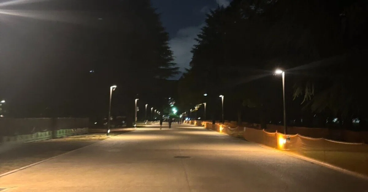 [Recommended for Running Beginners] I Ran 7km in Yoyogi Park! An Honest ...