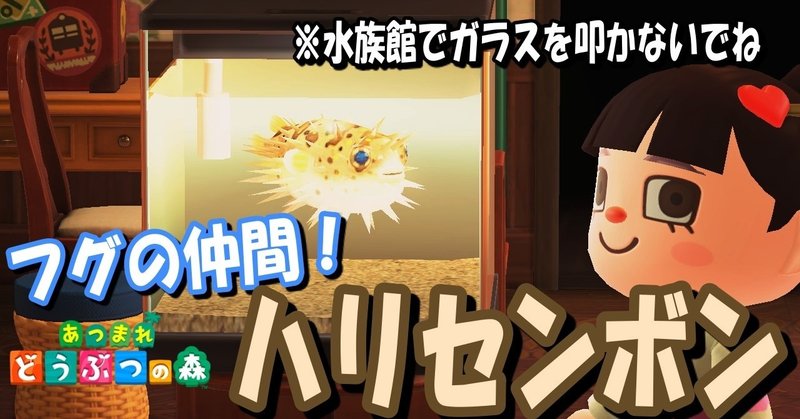 あつ森から学ぶ生物の話 ハリセンボンと言えば針 和名も英名も針から来ています 緑木リョク Note