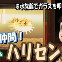 あつ森から学ぶ生物の話 もう私 スズキ を釣って肩を落とせません が またお前か 緑木リョク Note