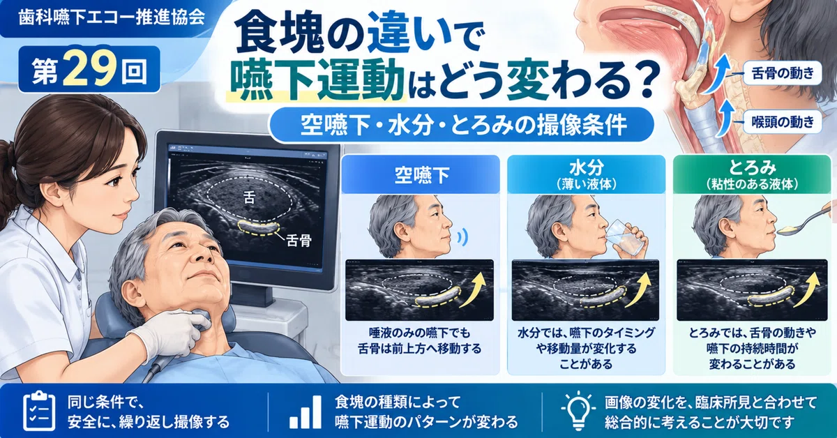 [Dental Swallowing Ultrasound Promotion Association] 29th Session: How ...