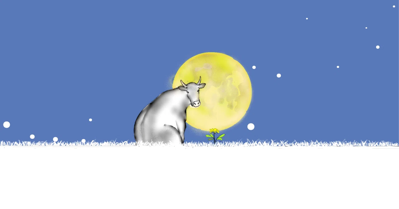 Sky Conditions: Taurus Full Moon｜clever_beetle997