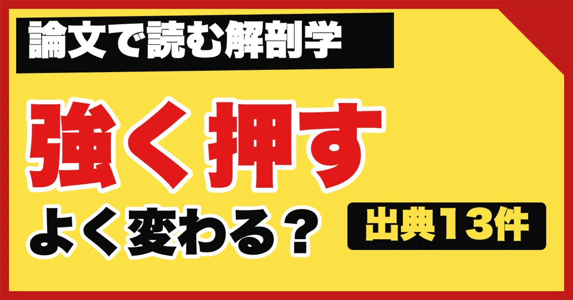 Body Do Note Does pressing harder change the body more?|沖野 一平|0から学ぶ解剖学と海外のリアル