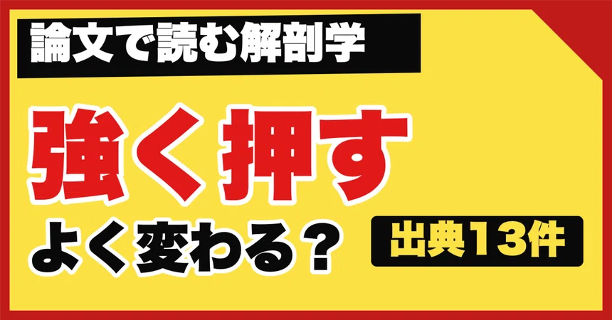 Body Do Note Does pressing harder change the body more?|沖野 一平|0から学ぶ解剖学と海外のリアル