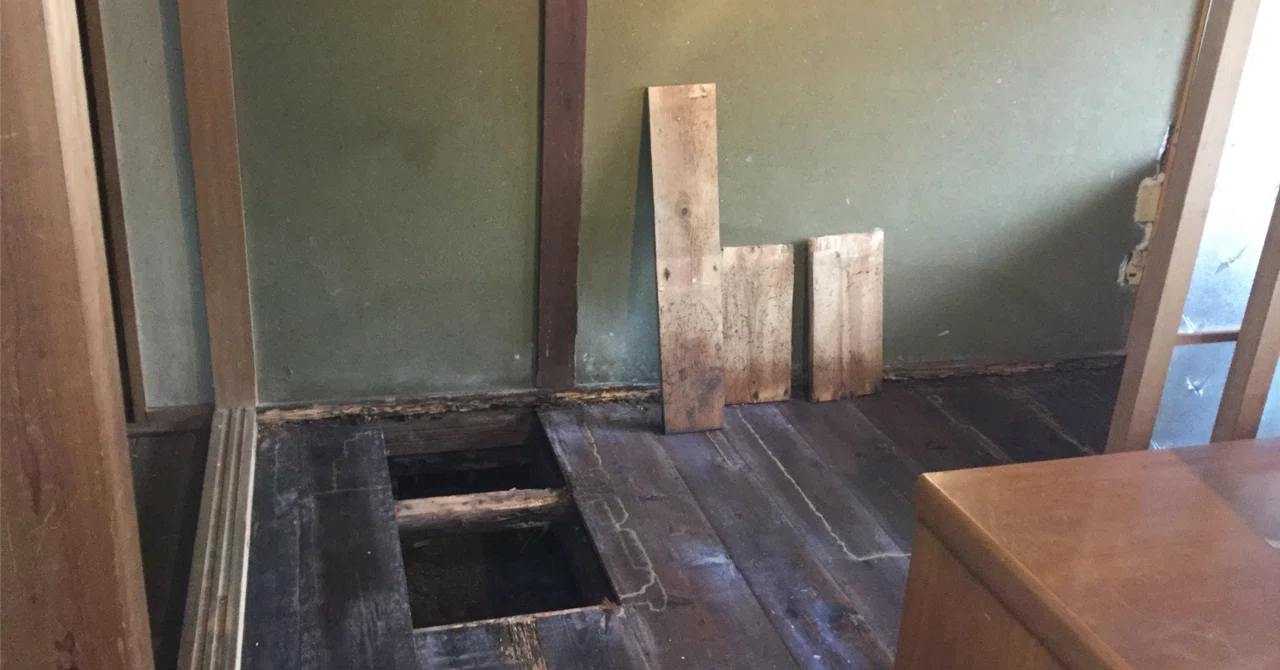 Early Termite Control is Key! Points to Check When Choosing an ...