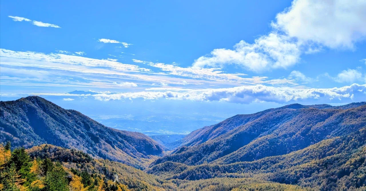 10 Essential Items for Natural Environment Surveyors｜とある