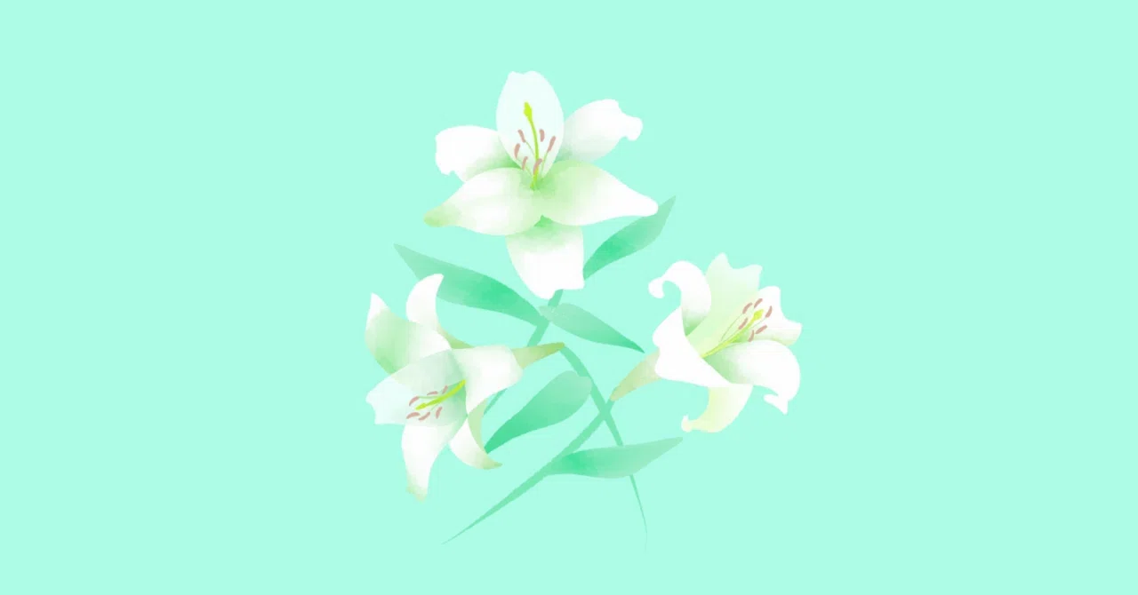 Diary 197｜anemone72