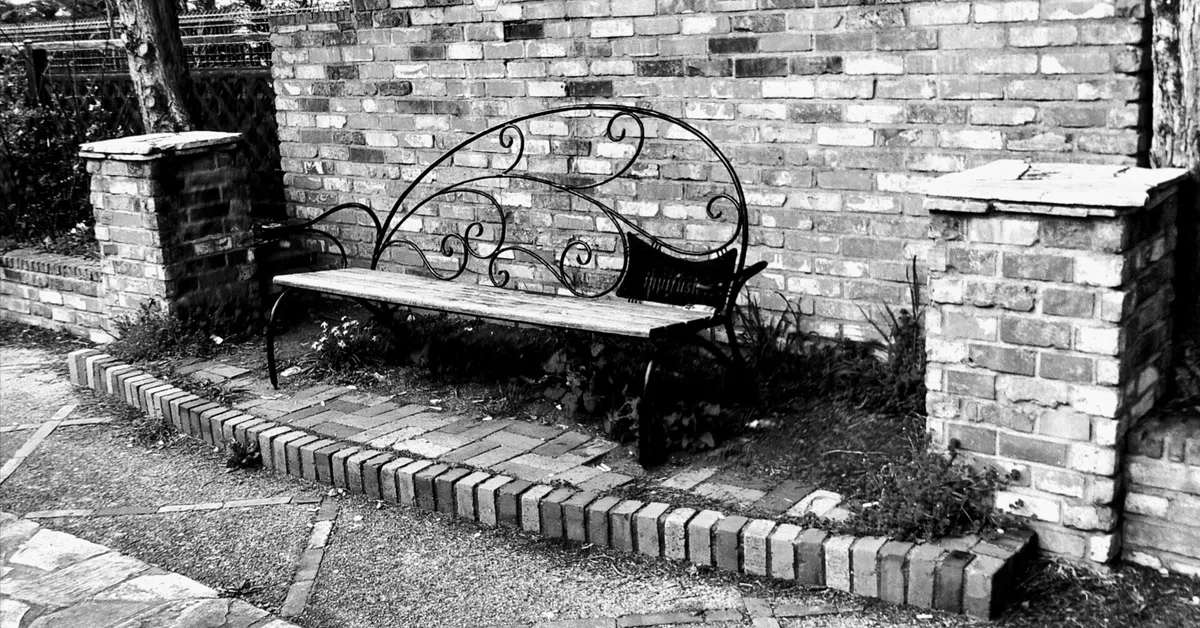 [2nd Attempt] I tried adding a short poetic coined title to a photo ( ﾟ ...