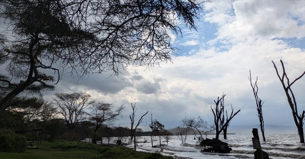 Leaving Masai Mara and heading to Naivasha with transfers｜また旅する人