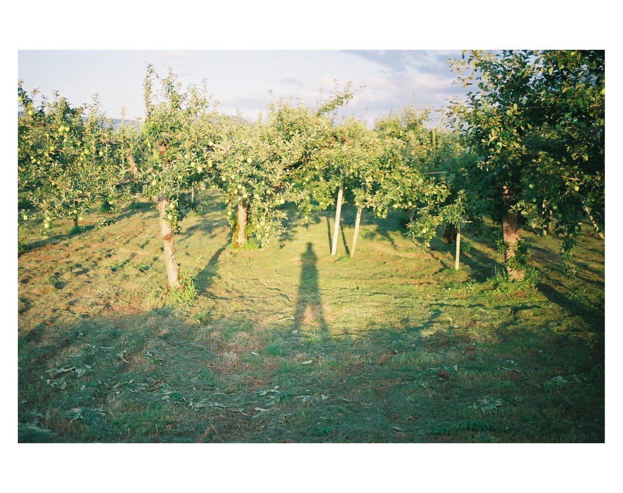 OM-10と夏休み.|HirotoSasaki(しぐれそう) OM-10と夏休み.|HirotoSasaki(しぐれそう)