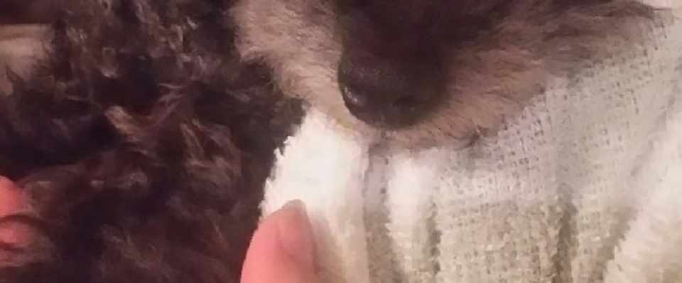 ショック 今年初の黒い虫との遭遇 桐島黒江 Note