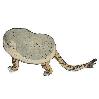 江戸時代のウマが蹄鉄ではなく草鞋(わらじ)を履いていたという 江戸時代のウマが蹄鉄ではなく草鞋(わらじ)を履いていたという