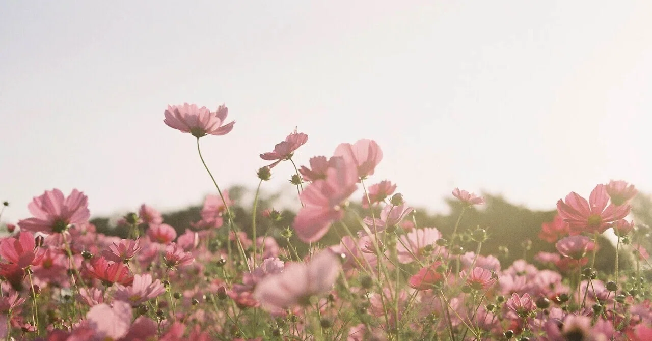 Memories do not remain in the same place. 《2026.10.23》｜嘉哉