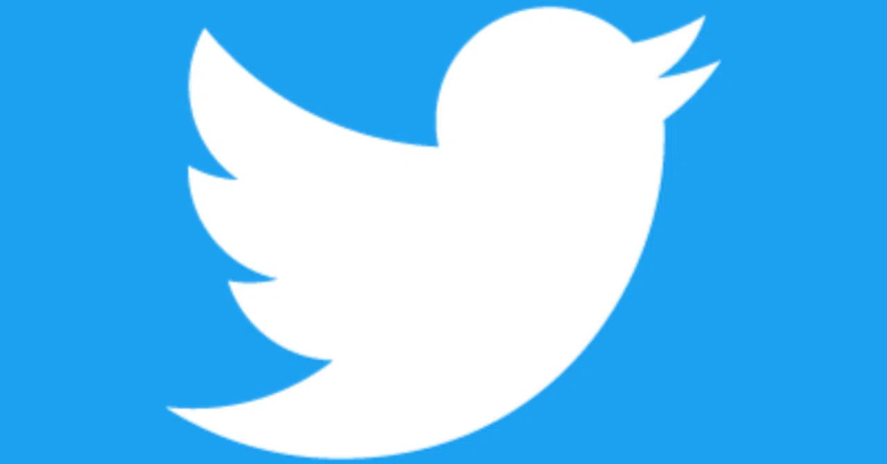 Trends and Countermeasures for Twitter Profile Sections｜柊野めめ👾hiragino meme