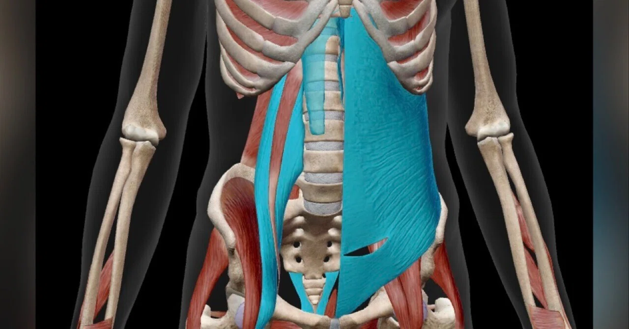 [The Core Trap] Does focusing on your inner muscles cause your posture ...
