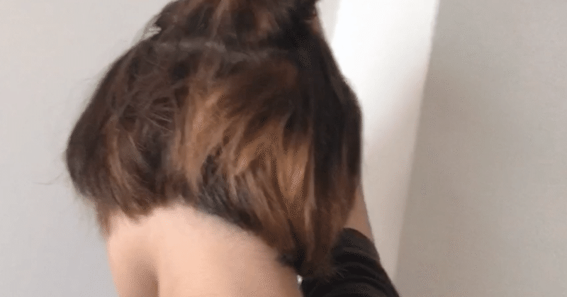 メッシュを入れたかったんですよ私は 出来上がったこれは多分インナーカラーの親戚 黒い白クマ note